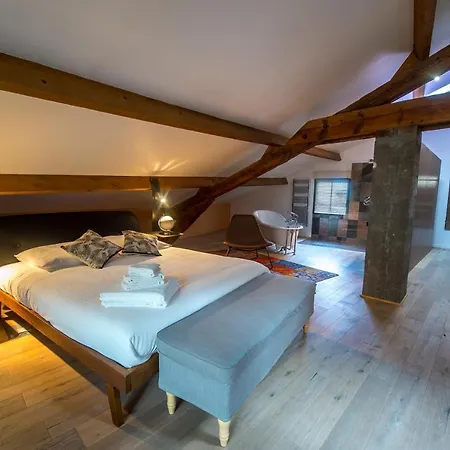 Loft - Les Orchidees A Saumur